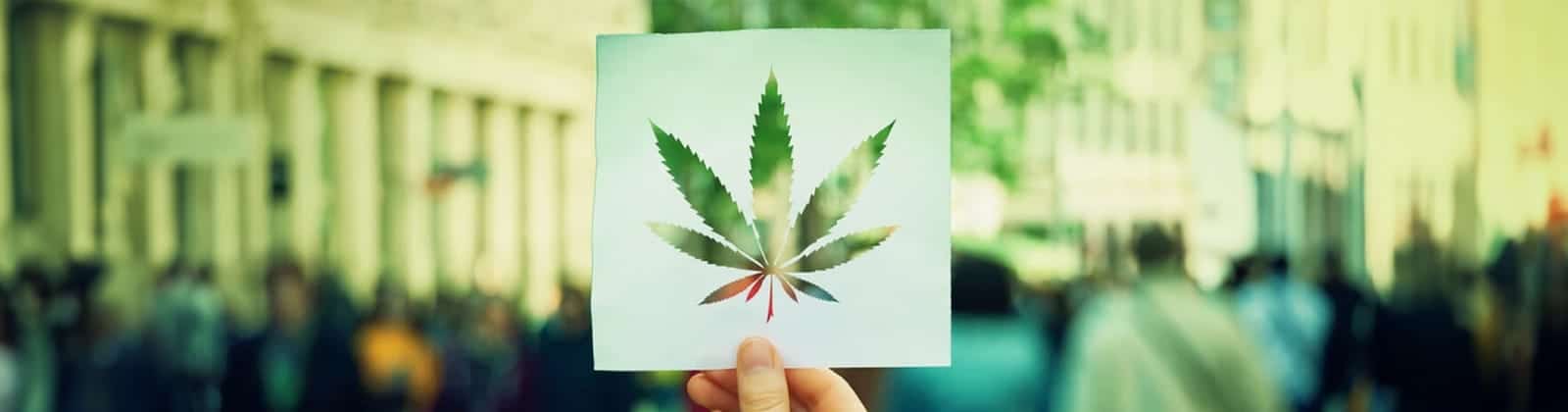 Der Code der Cannabis-Kultur – Was bedeutet 420?