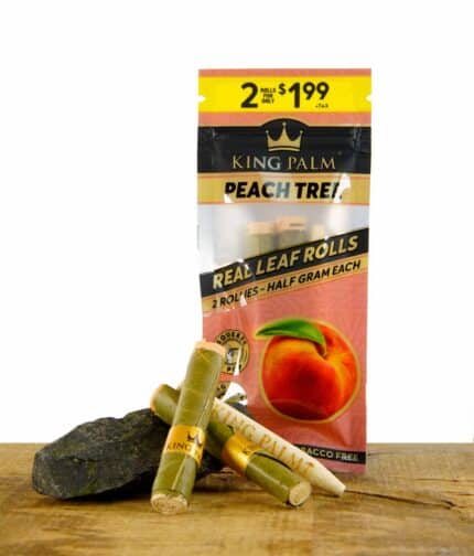 King-Palm-Rollies-Peach-Tree-2-Stueck.jpg