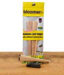 bloomer-banana-leaf-cones-mit-wildblumensamen-filtertips-1.jpg